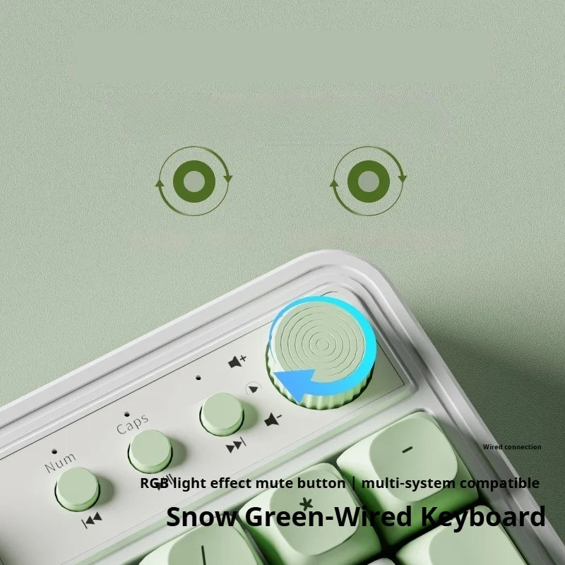 EWEADN Wired Silent Gaming Keyboard, Rainbow Backlight, Quiet Keys, Anti-Ghosting, Ergonomic, USB for Office & Gaming PC/Laptop