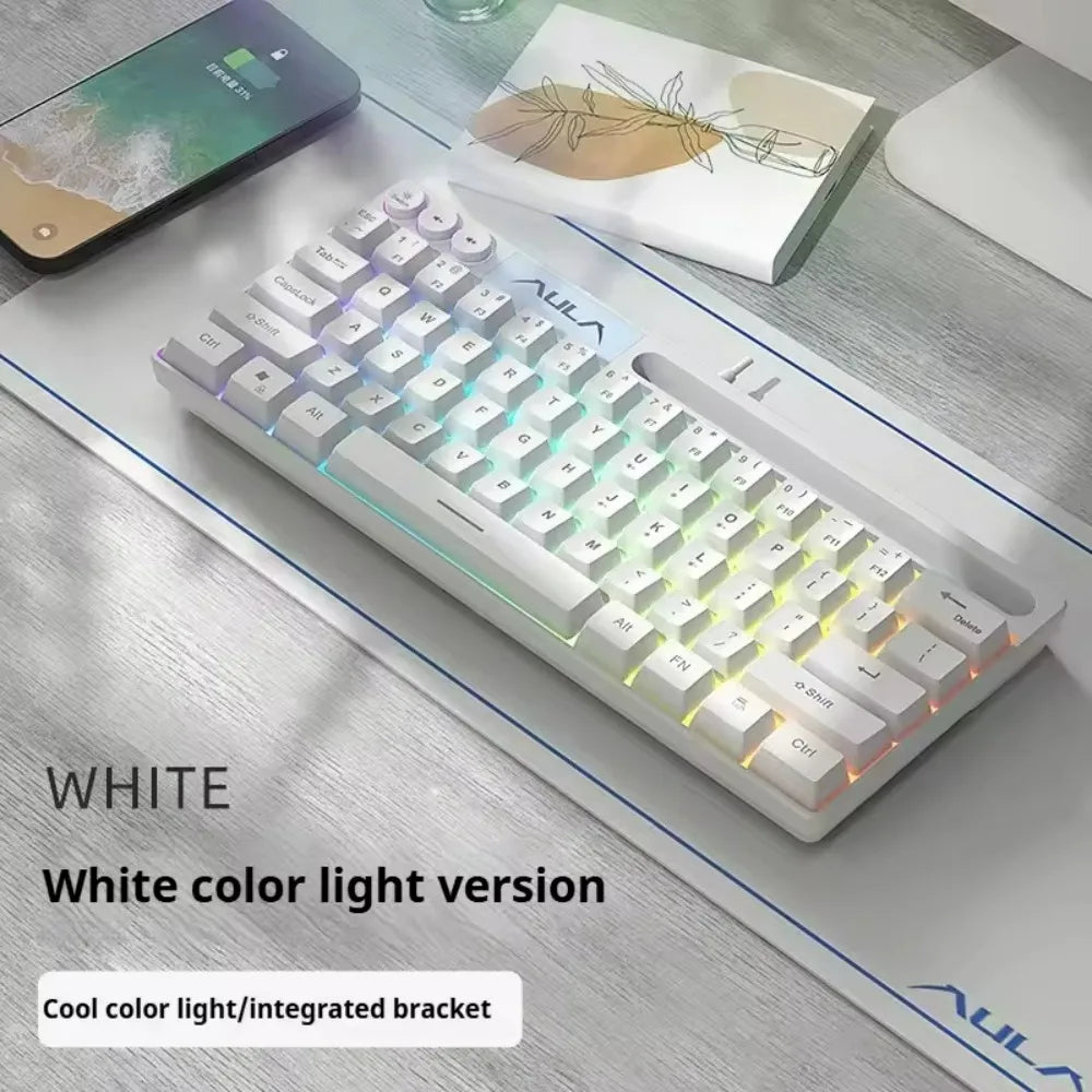 AULA F3061 Keyboard Wired RGB Backlight Gaming Keyboard Mechanical Touch Feel 61Keys Mini Keyboard for Desktop Laptop